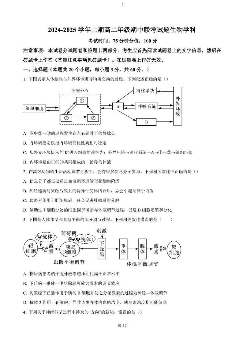 2024~2025学年河南省郑州市十校联考高二(上)期中生物试卷(含答案)第1页