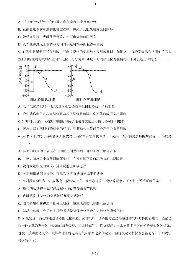 2024~2025学年河南省郑州市十校联考高二(上)期中生物试卷(含答案)第2页