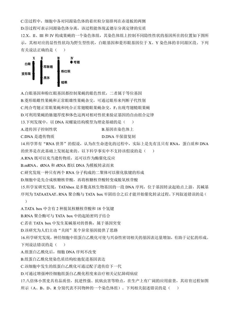 2024~2025学年黑龙江省哈尔滨市德强高级中学高三(上)期中生物试卷(含答案)第3页