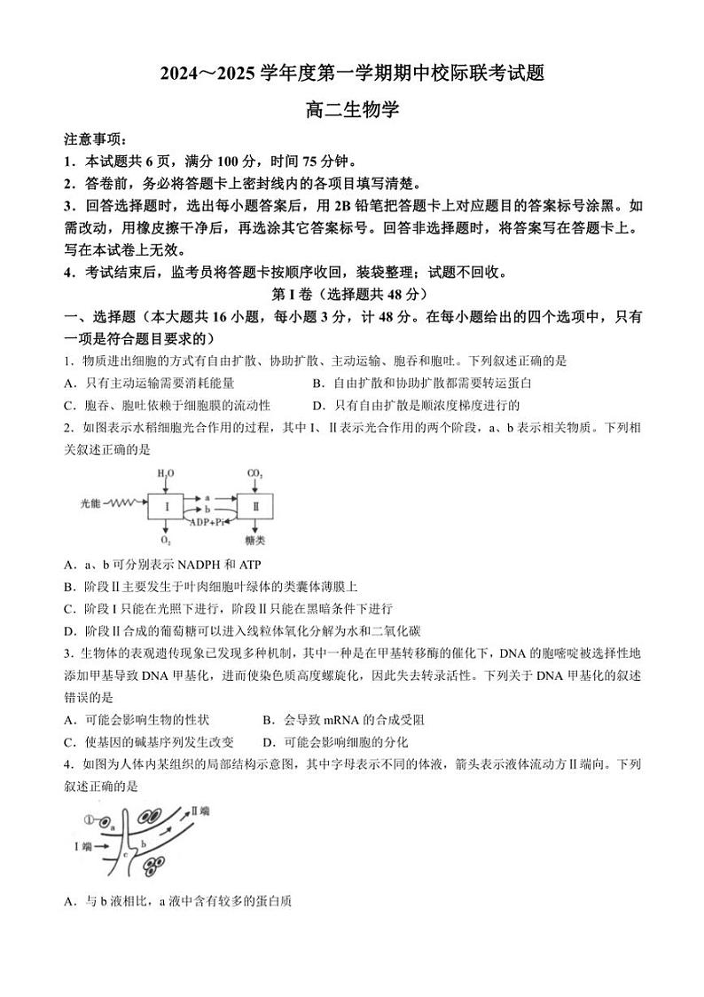 2024~2025学年陕西省汉中市高二(上)期中校际联考试卷生物(含答案)第1页