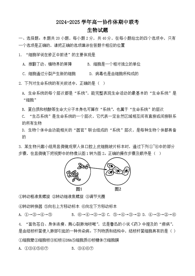 四川省眉山市仁寿县协作体2024~2025学年高一上学期11月期中联考生物试题第1页