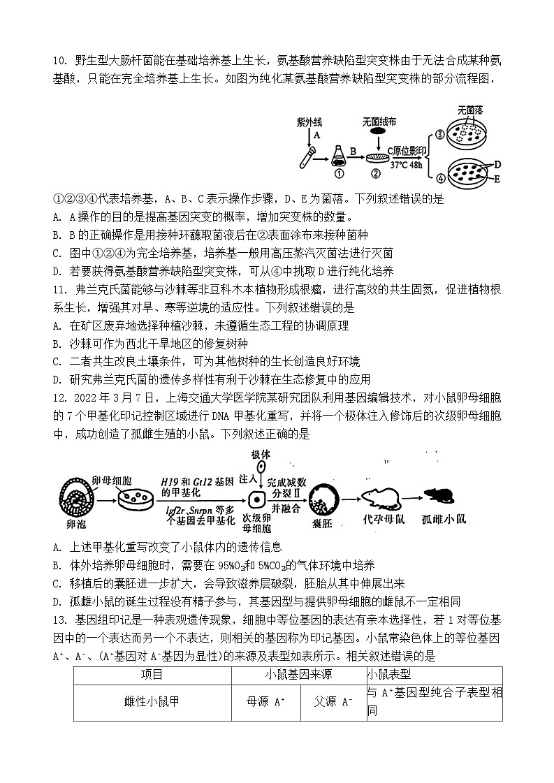 广西新课程教研联盟2024-2025学年高三上学期毕业班11月联考生物试题第3页