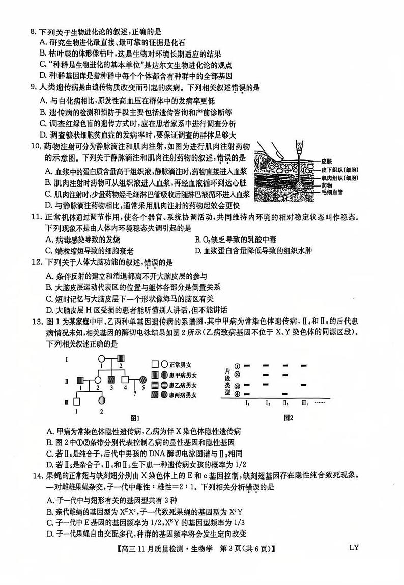 九师联盟河南2024-2025学年高三上学期11.28教学质量检测生物试卷及答案第3页