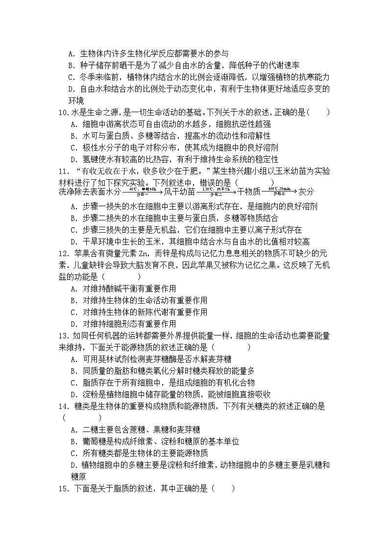 山东省泰安第一中学2024-2025学年高一10月月考生物试题第3页
