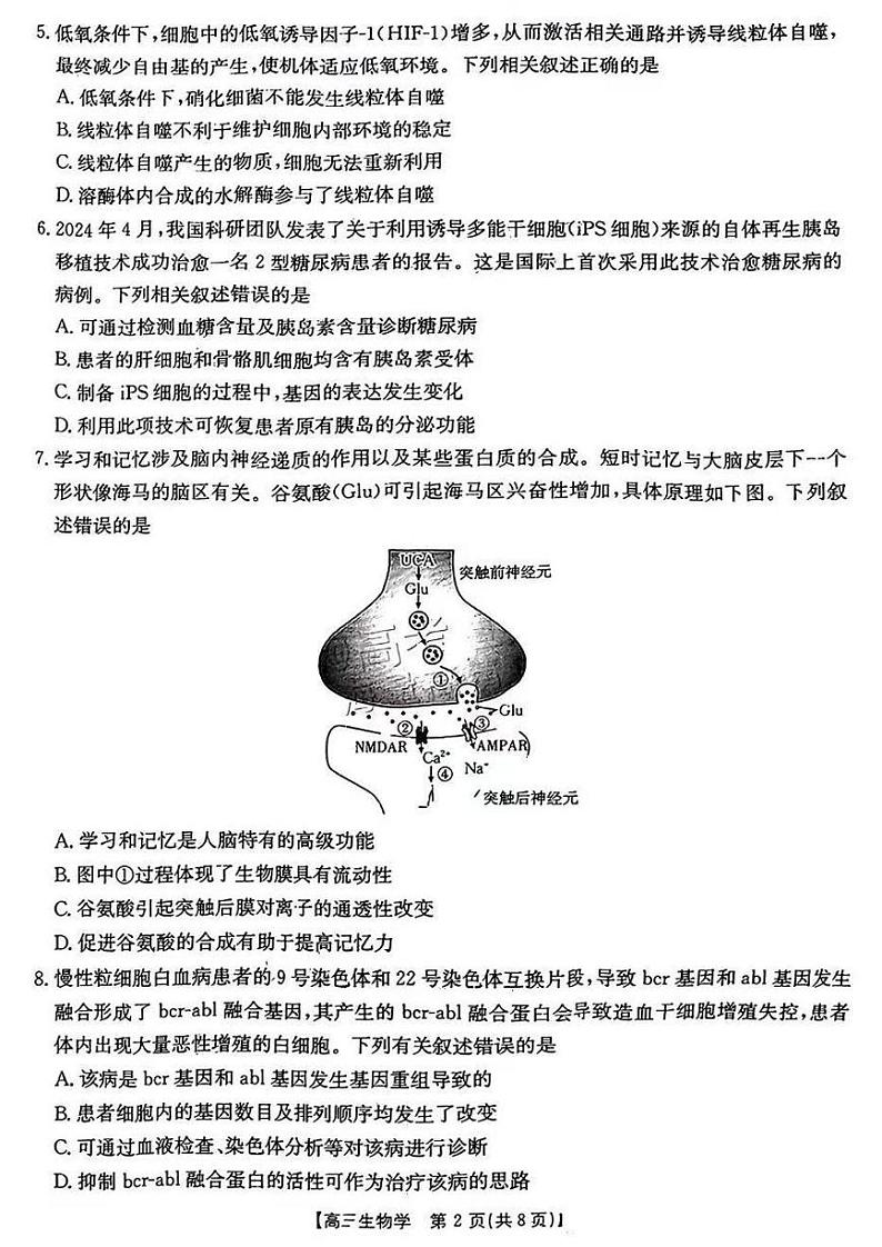 2025广东高三(上)金太阳11月份联考生物试题及答案第2页