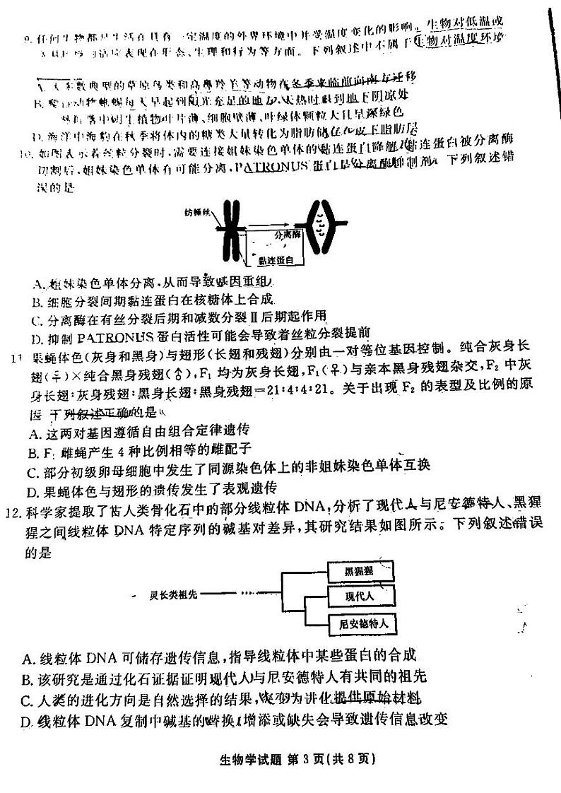 2025广东高三(上)衡水11月联考生物试题及答案第3页