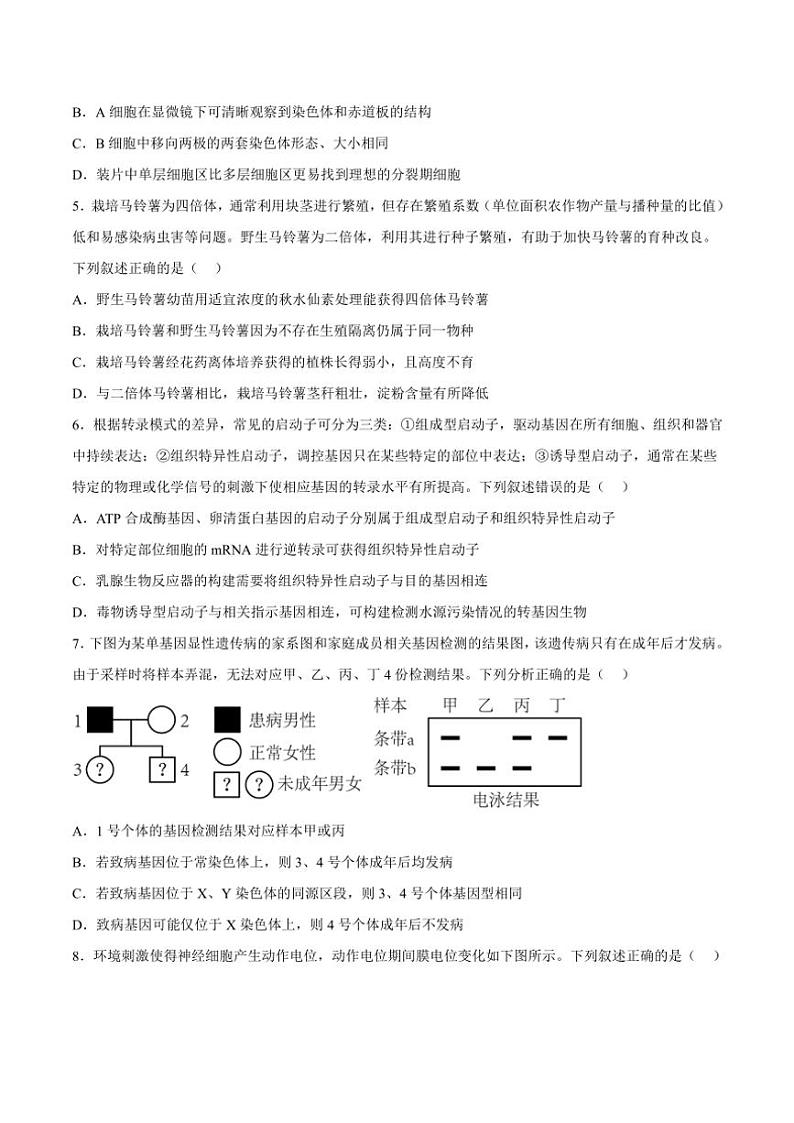2025届甘肃省白银市靖远县第一中学高三(上)期中生物试卷(含答案)第2页