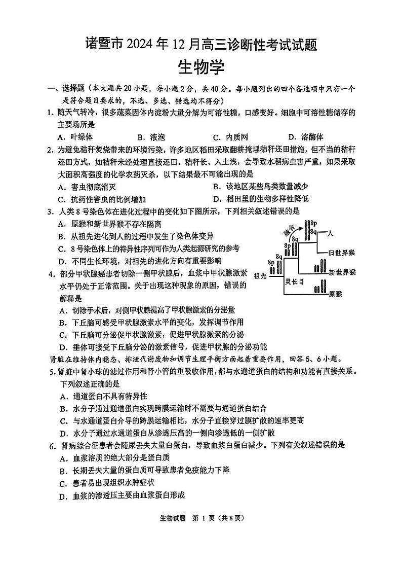 2412 诸暨适应性第1页