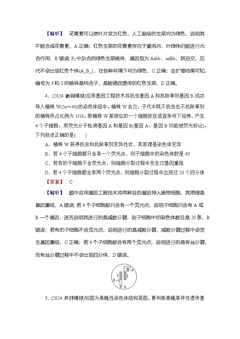 2025届 生物二轮高考复习 遗传的基本规律与伴性遗传 能力达标测试 作业第3页