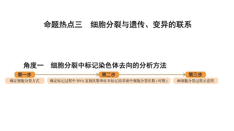 2025届生物高考 二轮复习 细胞的生命历程 热点情境 直击高考方向 课件 (1)第3页