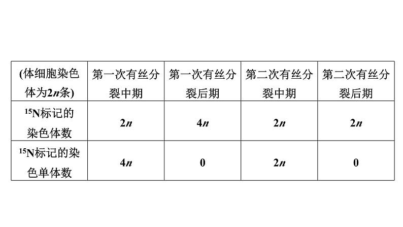 2025届生物高考 二轮复习 细胞的生命历程 热点情境 直击高考方向 课件 (1)第5页