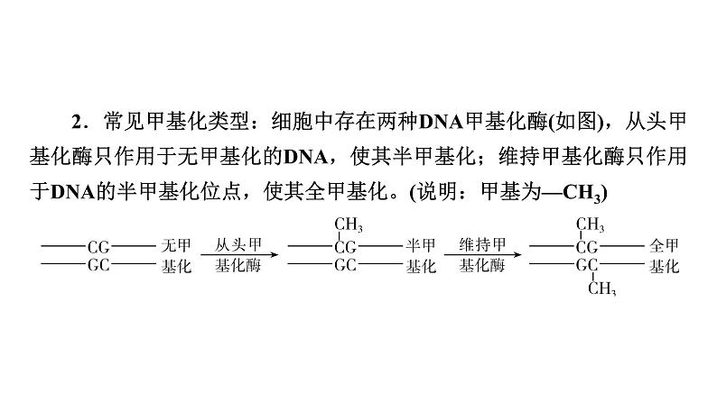 2025届生物高考 二轮复习 细胞的生命历程 热点情境 直击高考方向 课件 (2)第5页