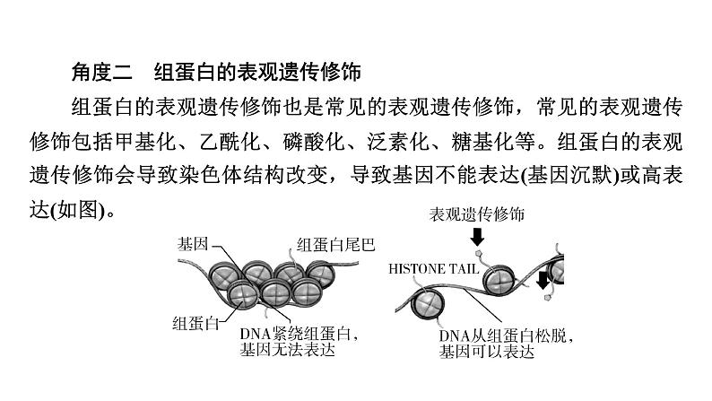 2025届生物高考 二轮复习 细胞的生命历程 热点情境 直击高考方向 课件 (2)第6页