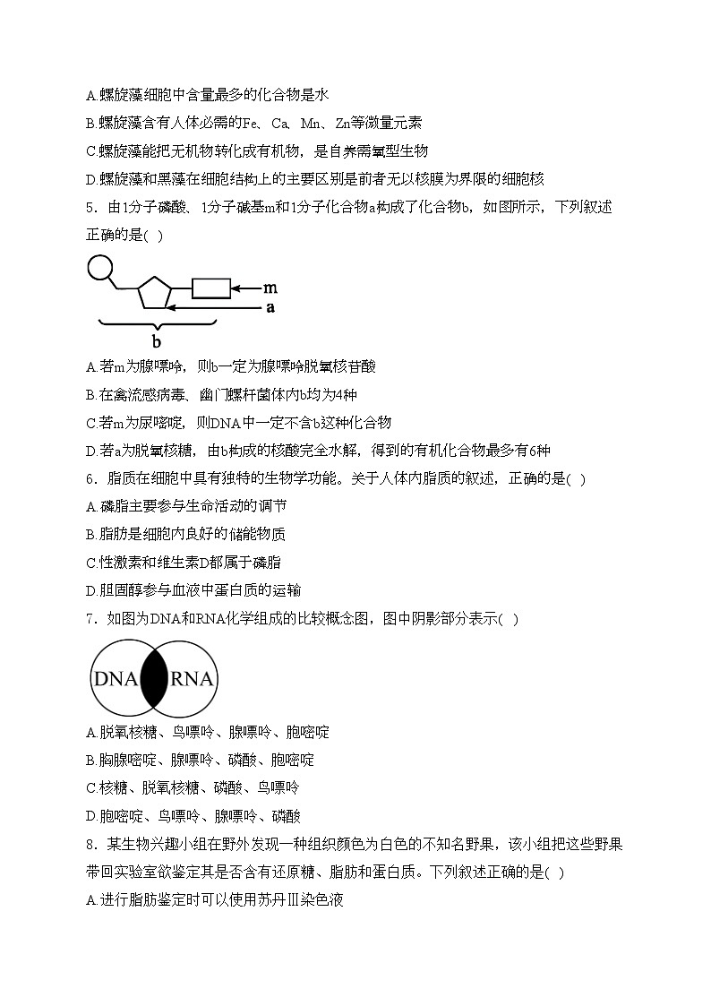 江苏省宿迁市2024-2025学年高一上学期11月期中考试生物试卷(含答案)第2页