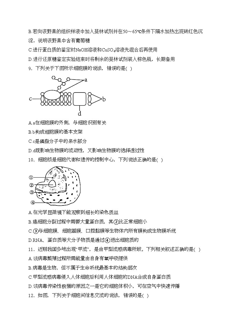 江苏省宿迁市2024-2025学年高一上学期11月期中考试生物试卷(含答案)第3页