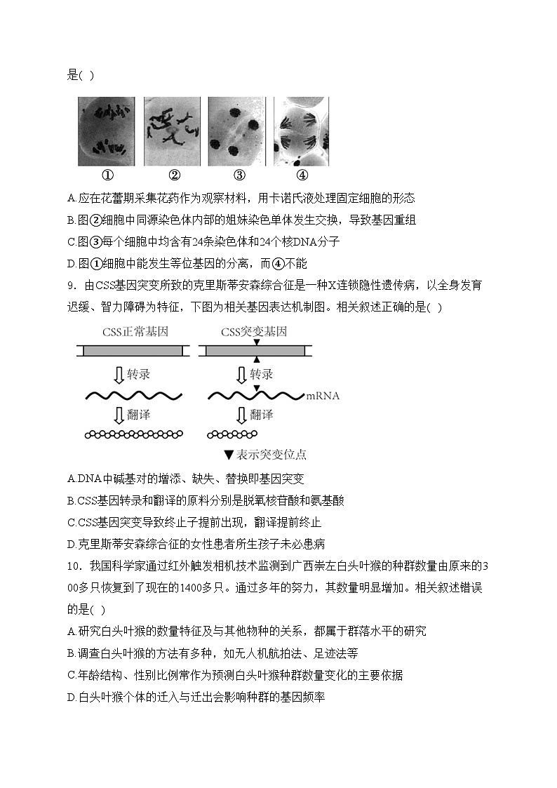 江苏省南通市海安市2025届高三上学期11月期中学业质量监测生物试卷(含答案)第3页