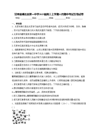 甘肃省靖远县第一中学2025届高三上学期11月期中考试生物试卷(含答案)