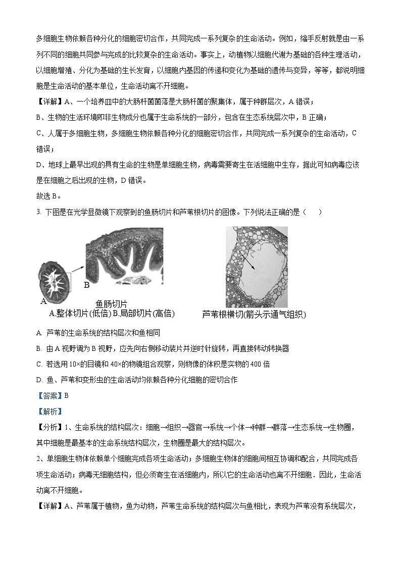 福建省福州市福9联盟校2024-2025学年高一上学期11月期中生物试题 含解析第2页