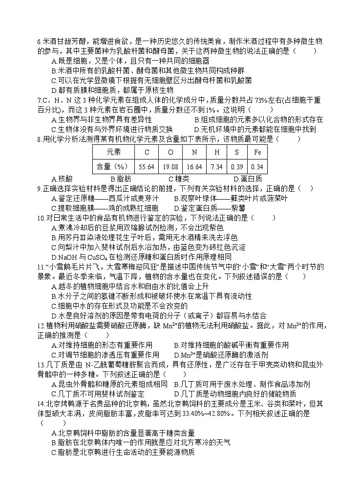四川省遂宁市射洪中学2024-2025学年高一上学期期中考试生物试题 含答案第2页