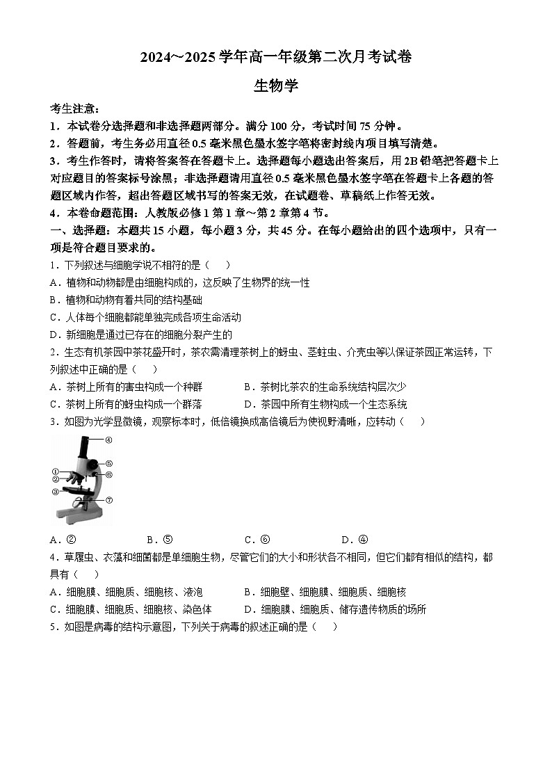 安徽省亳州市涡阳县2024-2025学年高一上学期11月期中(第二次月考)生物试卷(Word版附解析)第1页