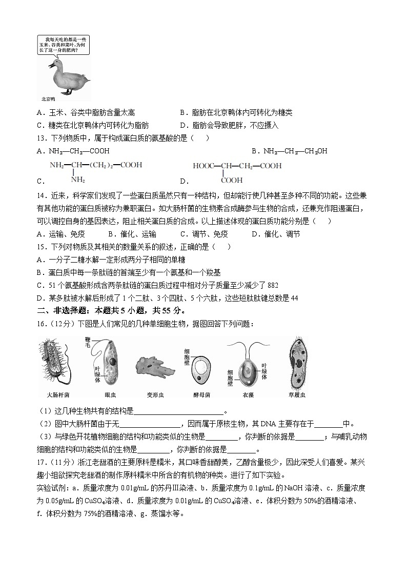 安徽省亳州市涡阳县2024-2025学年高一上学期11月期中(第二次月考)生物试卷(Word版附解析)第3页