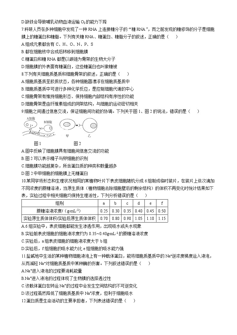 河南省周口市鹿邑县2024-2025学年高一上学期11月期中考试生物试卷(Word版附答案)第2页