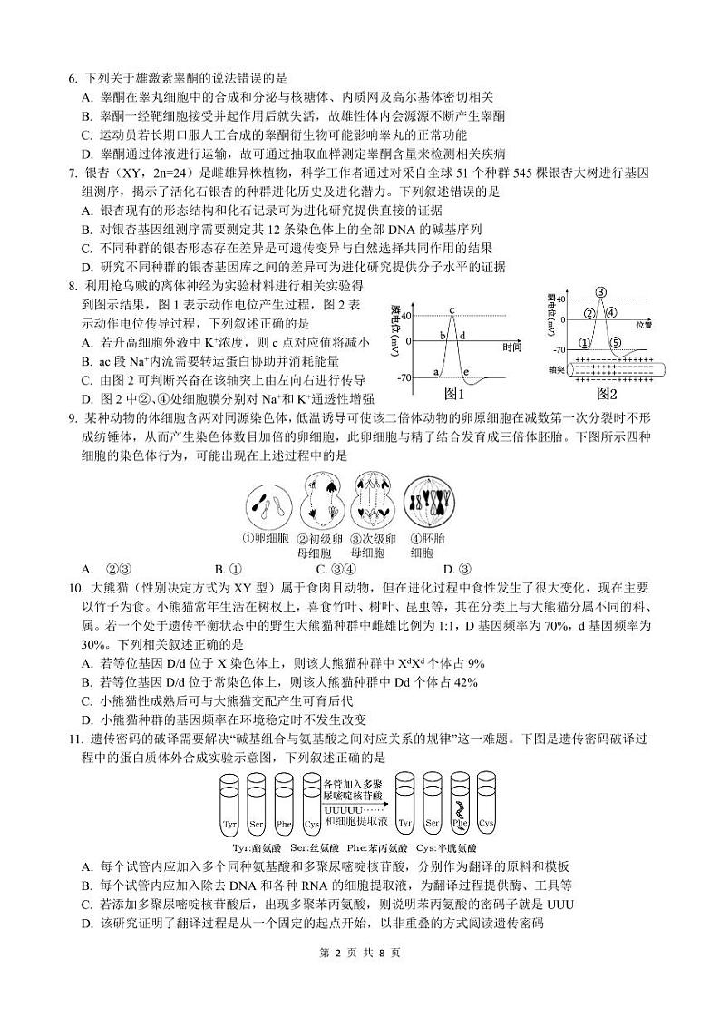重庆市沙坪坝区重庆市第一中学校2024-2025学年高二上学期12月期中生物试题第2页