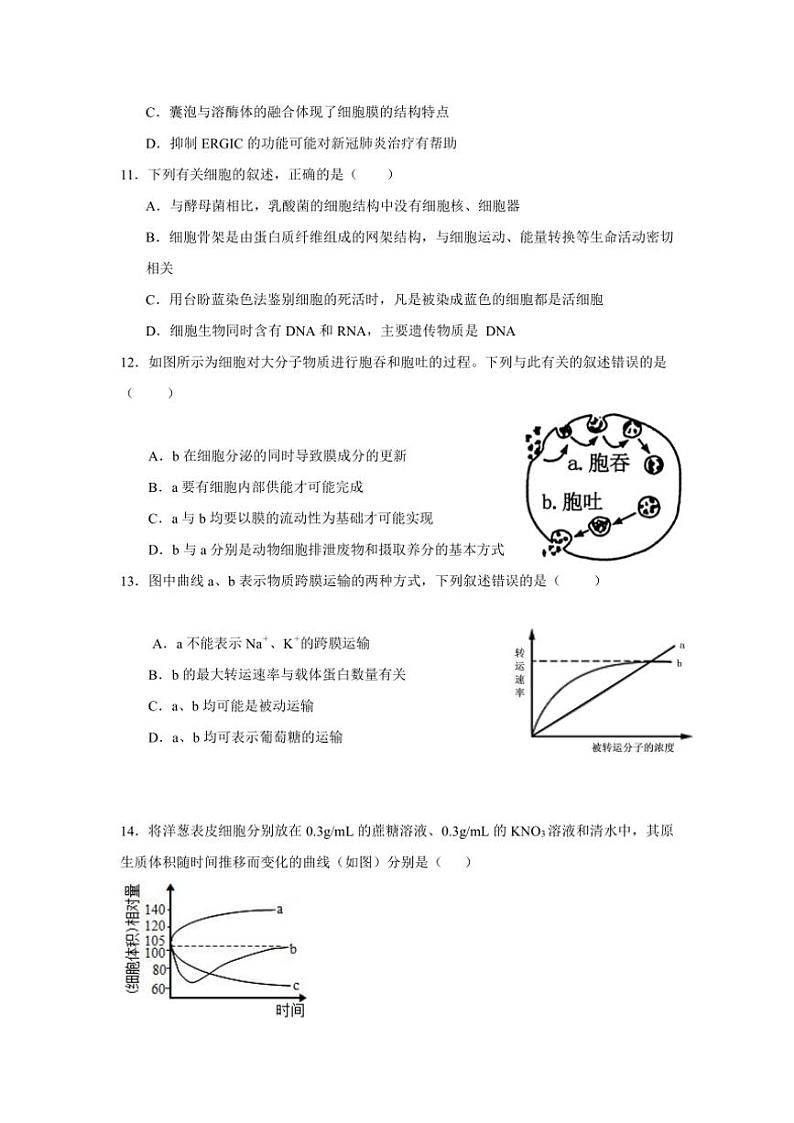 2024~2025学年青海省西宁市湟中区多巴高级中学高一(上)第二次月考生物试卷(无答案)第3页