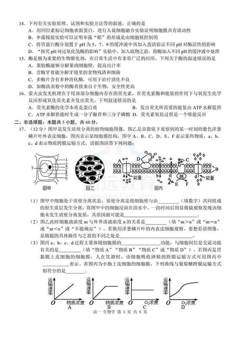 2024~2025学年广西河池市高一(上)12月联盟考试生物试卷(含答案)第3页