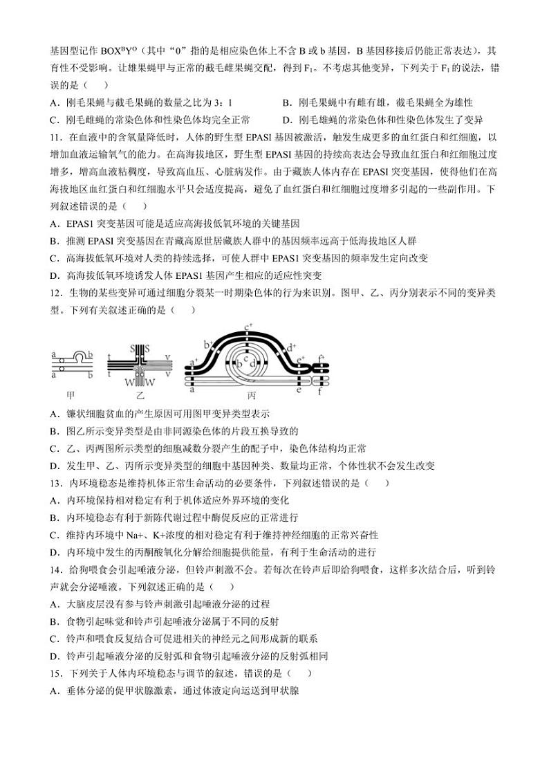 2024~2025学年四川省眉山市仁寿县铧强中学高二(上)期中生物试卷(含答案)第3页