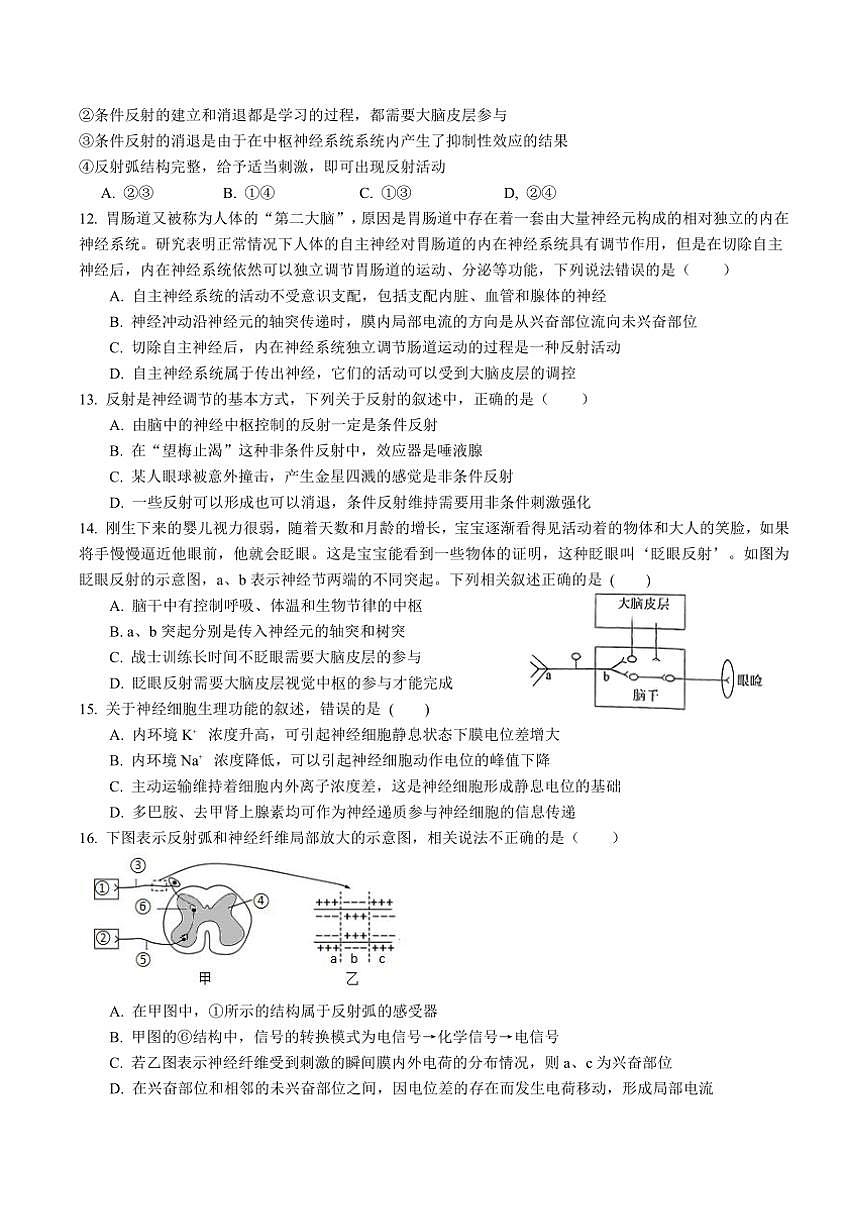 2024～2025學年四川省眉山市仁壽縣高二(上)期中校際聯(lián)考生物試卷(含答案)第3頁