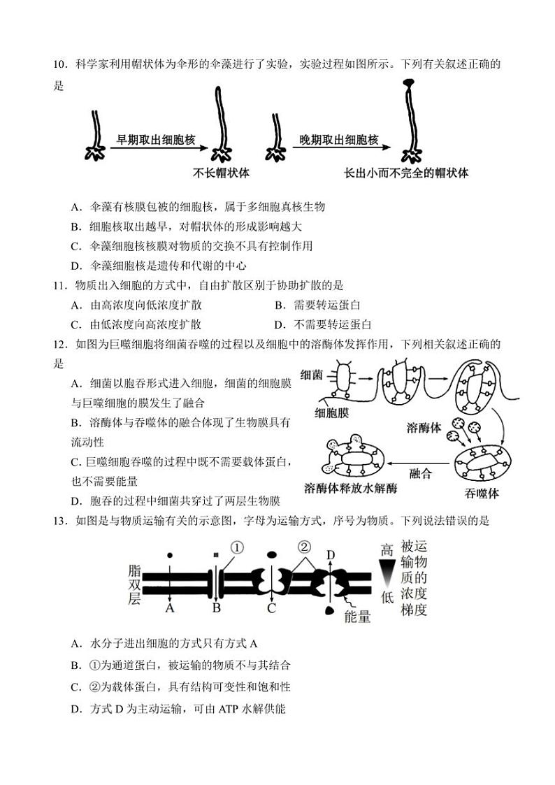 2024~2025学年广东省清远市南阳中学高一(上)第二次月考生物试卷(含答案)第3页
