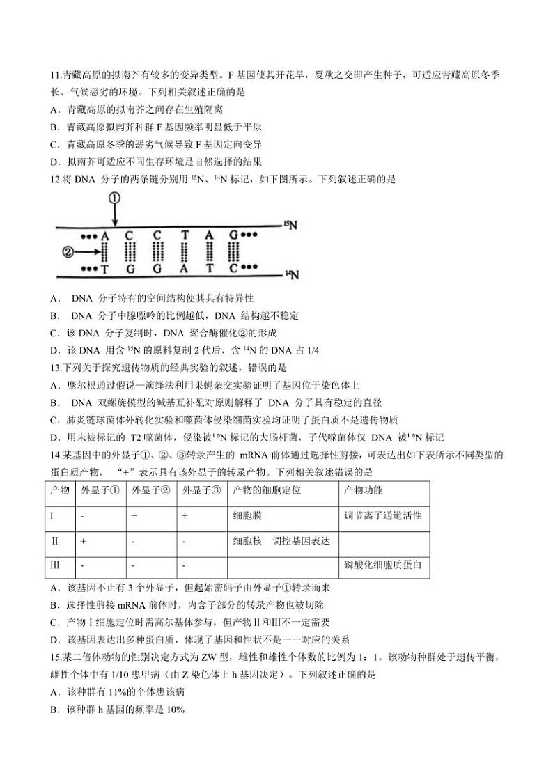 2025届安徽毛坦厂实验中学高三(上)期中生物试卷(含答案)第3页