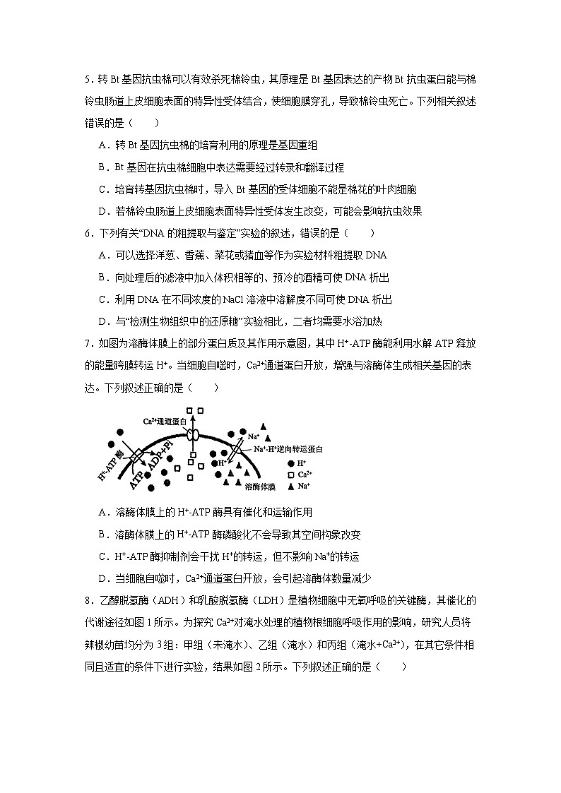 四川省内江市2025届高三第一次模拟考试生物试题第2页