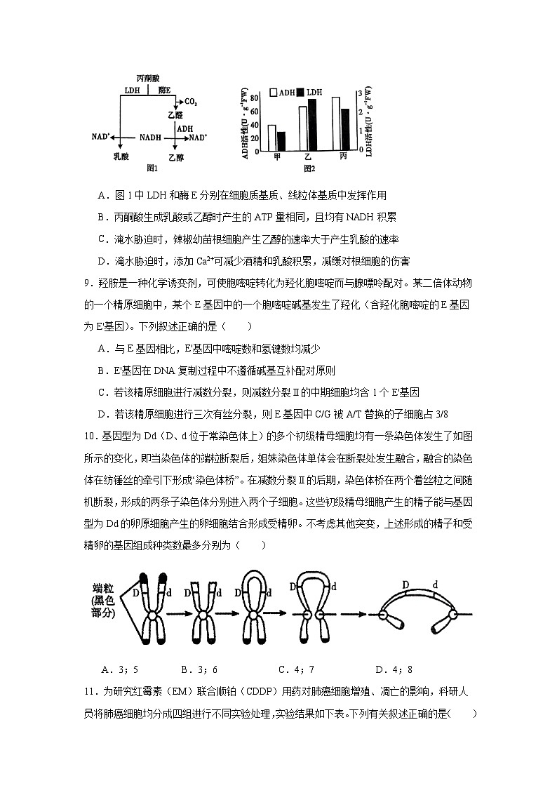 四川省内江市2025届高三第一次模拟考试生物试题第3页
