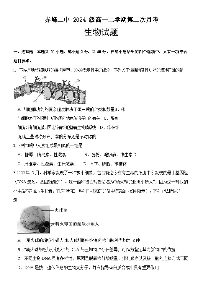 高一生物试题第1页