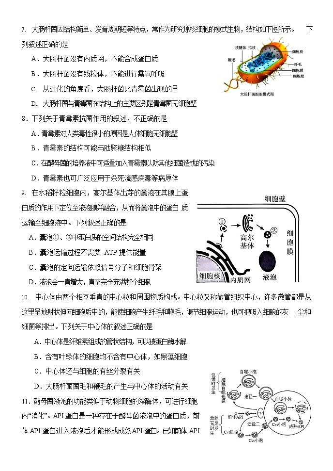 高一生物试题第3页