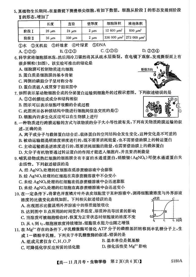 安徽省蚌埠市固镇县毛钽厂实验中学2024-2025学年高一上学期11月月考试生物学试题第2页
