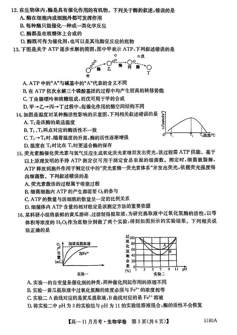 安徽省蚌埠市固镇县毛钽厂实验中学2024-2025学年高一上学期11月月考试生物学试题第3页