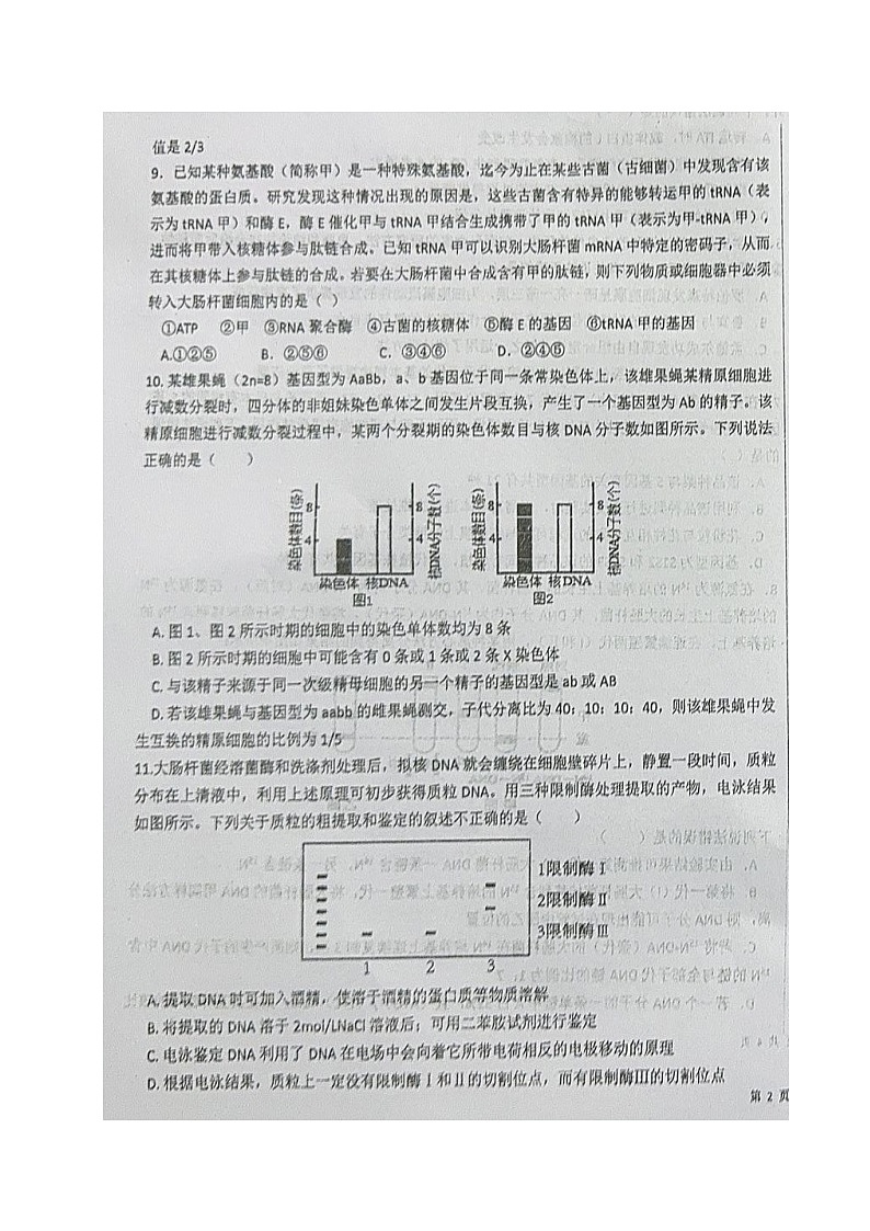 四川省南充市阆中东风学校2024-2025学年高三上学期12月月考生物试题第3页