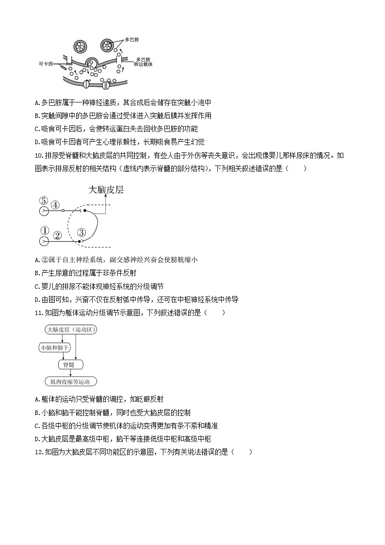 山西省太原市常青藤中学校、李林中学2024-2025学年高二上学期10月联考生物试题第3页