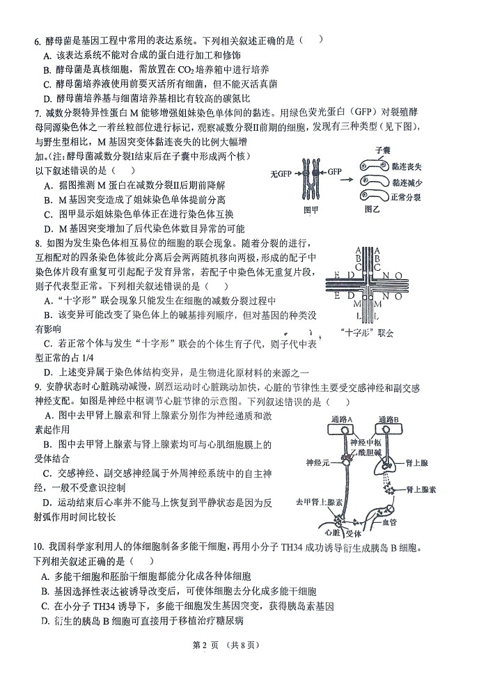 江苏省泰州市靖江市江苏省靖江高级中学2024-2025学年高三上学期期中调研生物试卷第2页