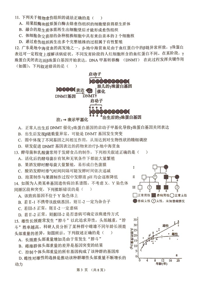 江苏省泰州市靖江市江苏省靖江高级中学2024-2025学年高三上学期期中调研生物试卷第3页