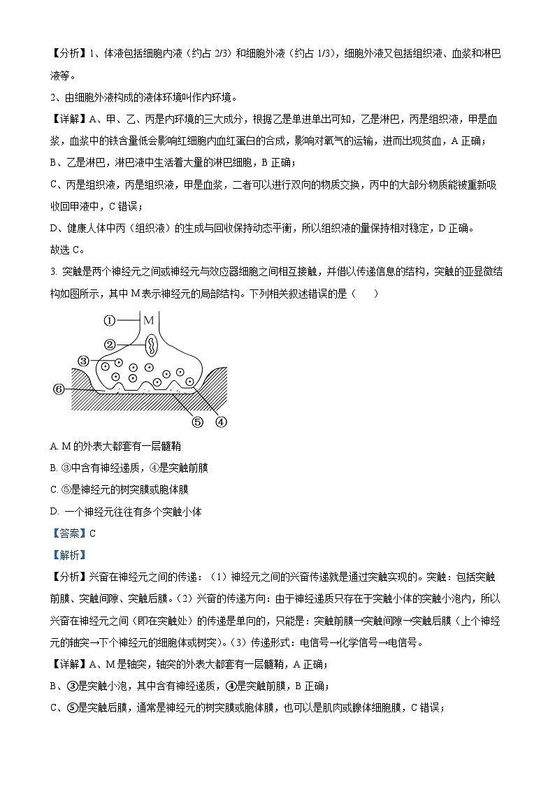 贵州省黔东南苗族侗族自治州2024-2025学年高二上学期11月期中考试生物试题含解析第2页