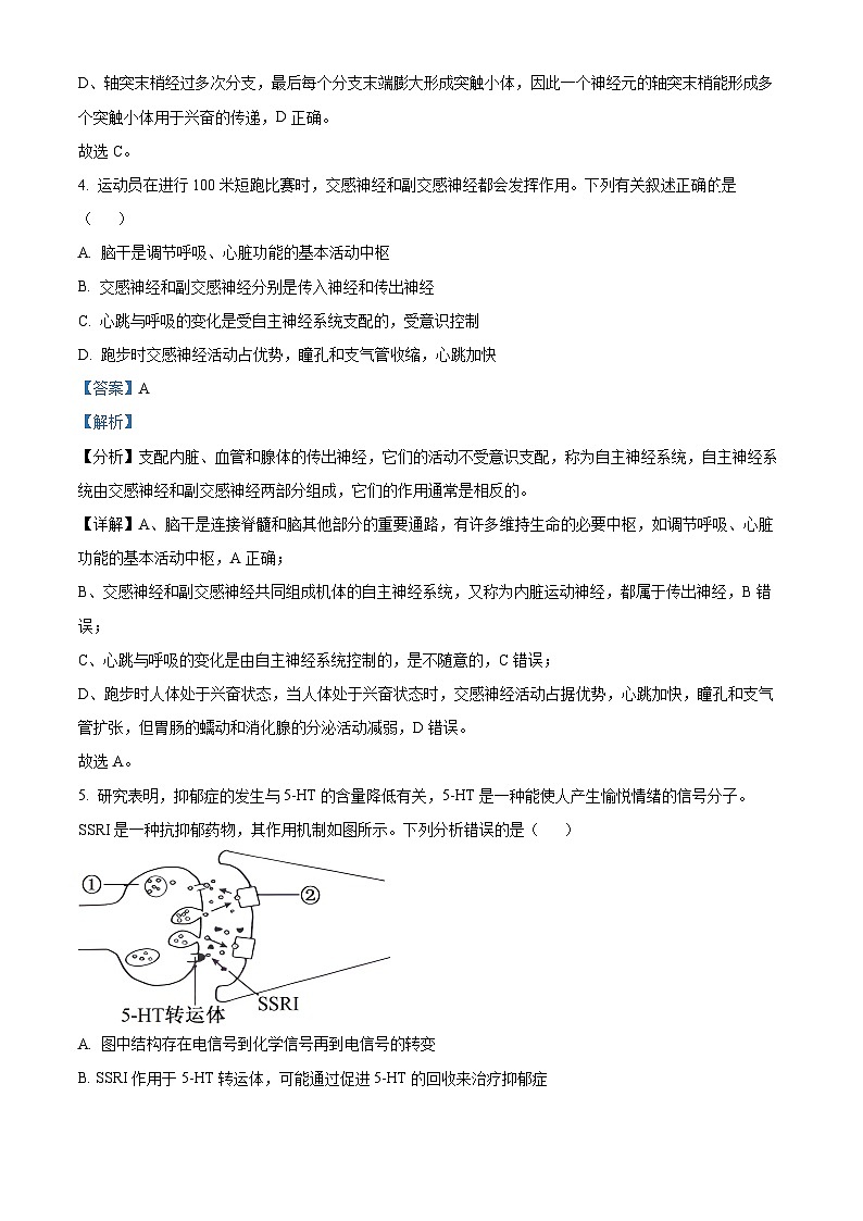贵州省黔东南苗族侗族自治州2024-2025学年高二上学期11月期中考试生物试题含解析第3页