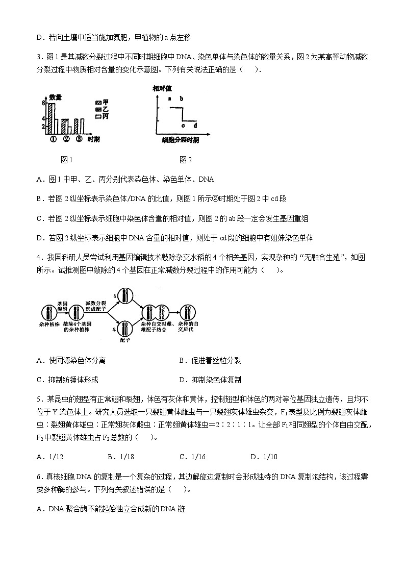 吉林省长春市东北师范大学附属中学2024-2025学年高三上学期第二次摸底考试生物学试题(含答案)第2页