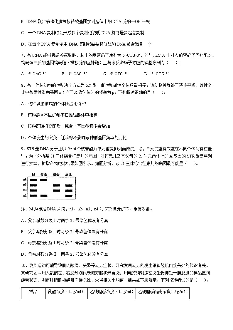 吉林省长春市东北师范大学附属中学2024-2025学年高三上学期第二次摸底考试生物学试题(含答案)第3页