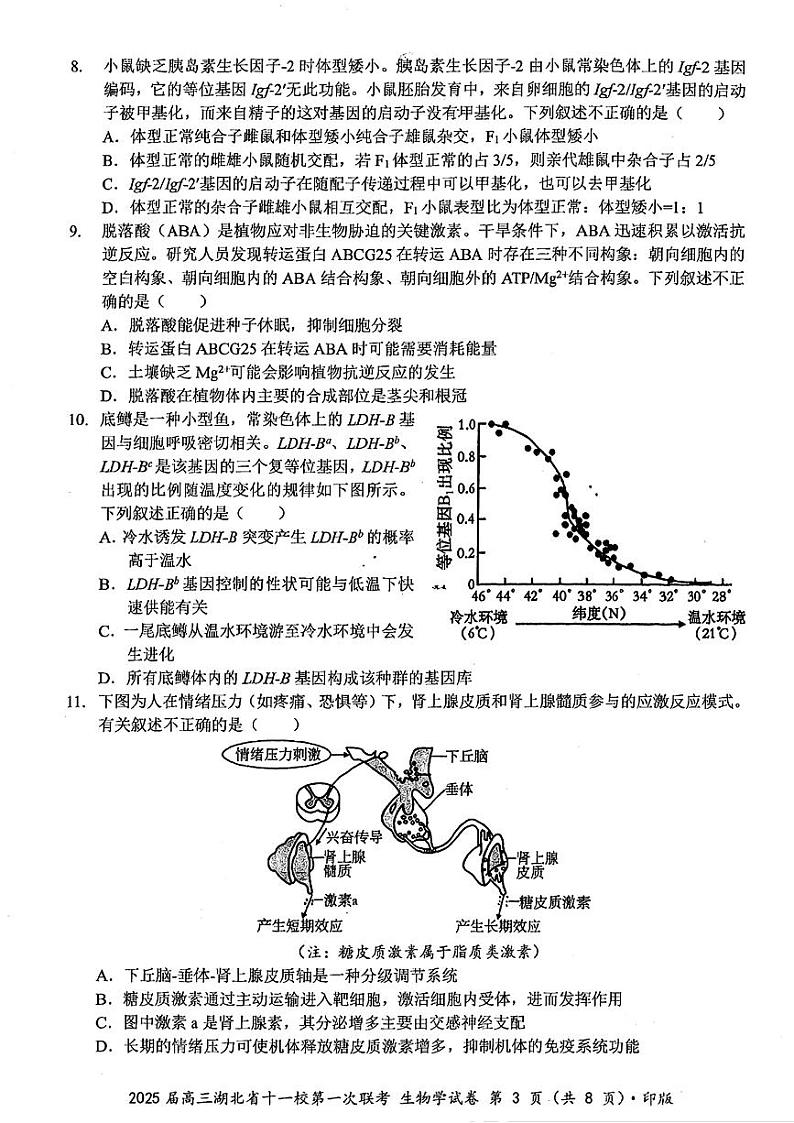 湖北省十一校2025届高三上学期第一次六科暨12月联考-生物试卷+答案第3页