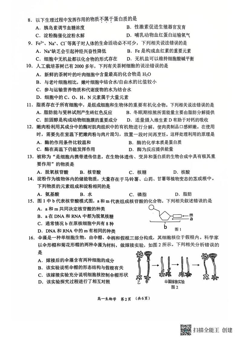 2024~2025学年广西柳州市高中高一(上)12月联考生物试卷(含答案)第2页