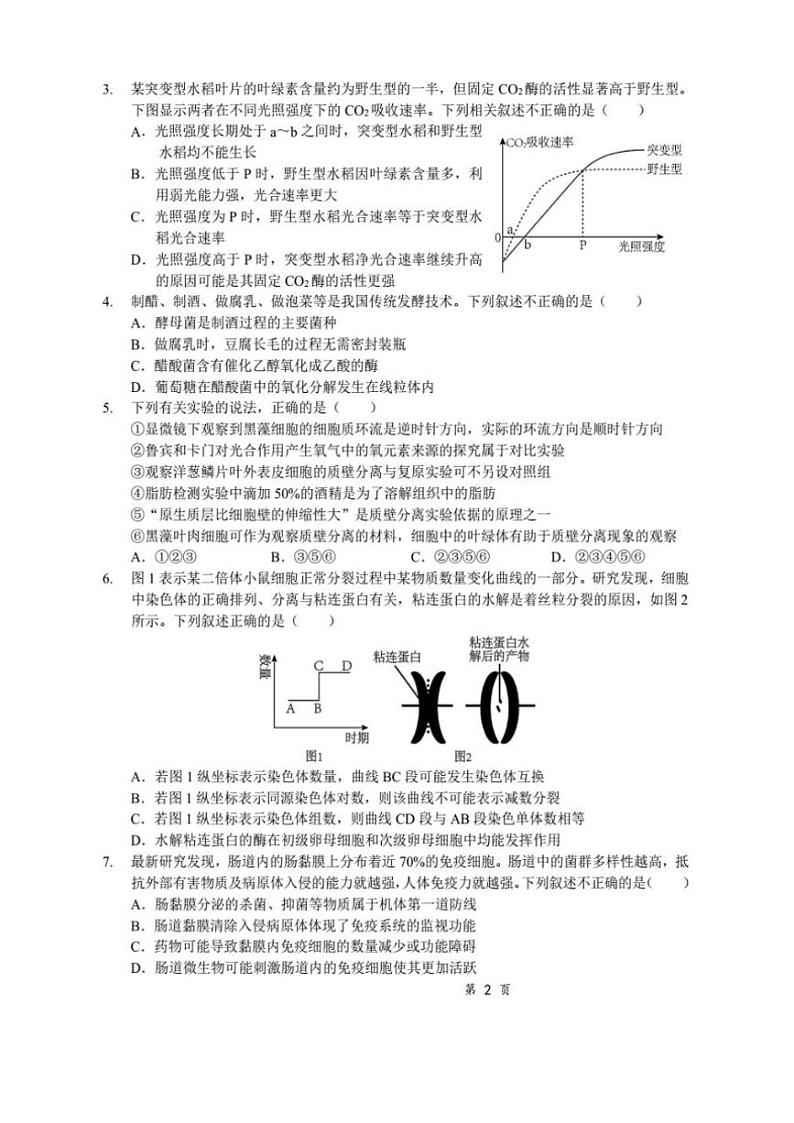 2024~2025学年湖北省十一校高三(上)第一次联考月考生物试卷(含答案)第2页